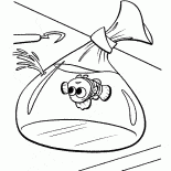 パッケージ内ニモ