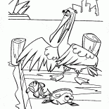 ヘロン狩り