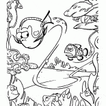 ドリーフィッシュ