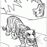シアカーンとKAA