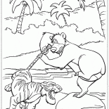 シアカーンとバルーの戦い