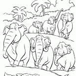 象の群れ