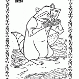 アライグマ巫女