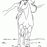 スタリオンスピリット