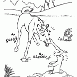 子馬とジリス