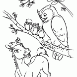 フクロウとスピリット