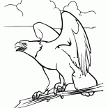 イーグルとスピリット