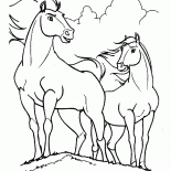 群れのリーダー