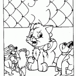 トラブルに子猫