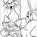 レディー家の猫