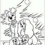 子犬と犬