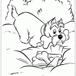 骨のキャッシュ