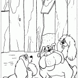 野良犬