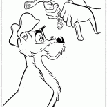 トランプ用首輪