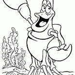 セバスチャンカニ