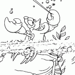 導体としてセバスチャン