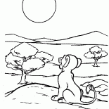 シンバと太陽