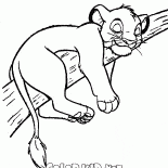 ツリー上のシンバ