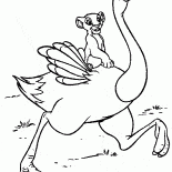 ダチョウのシンバ