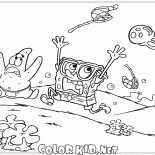 チェイスのクラゲ