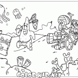 テリトリークラゲ