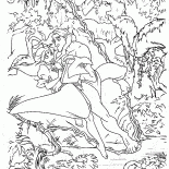 ターザンとジェーン