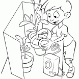 ルイス判断の花