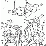 魚とリロ