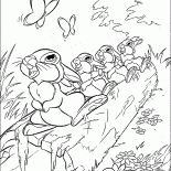 ノウサギはドラミングしています