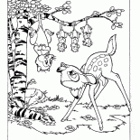 オポッサムとバンビ