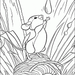 森マウス