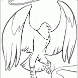 イーグルガーディアン