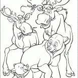 ヘラジカとクマ