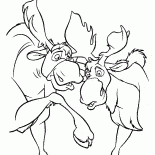 ヘラジカが遊ぶ