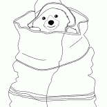 クマが隠れています