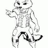クリエイティブアライグマ