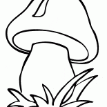 キノコ