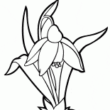 スノードロップ