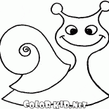 散歩のカタツムリ