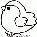 鳥のカラ
