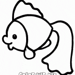雑魚