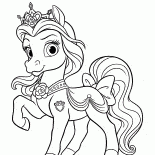 ポニープチ