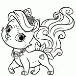 キティジュエル