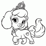 子犬のカボチャ