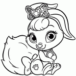 バニーベリー