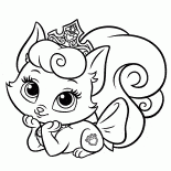 キティキューティー