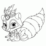 アライグマヤグルマギク