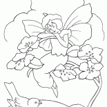 少女エルフと鳥