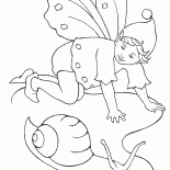 フェアリーカタツムリ