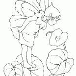リトルエルフ
